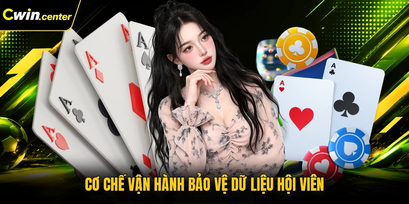 Cơ chế vận hành bảo vệ dữ liệu hội viên