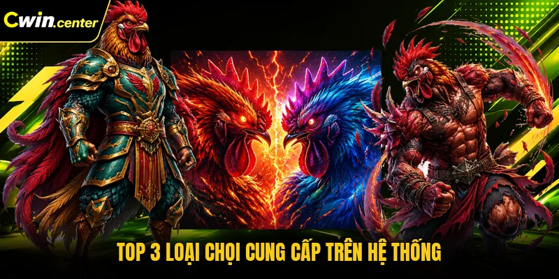 Top 3 loại chọi cung cấp trên hệ thống